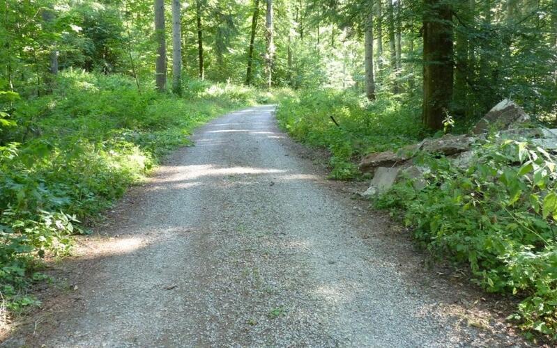 Betonbruchstücke im Deckenpfronner Gemeindewald entsorgt
