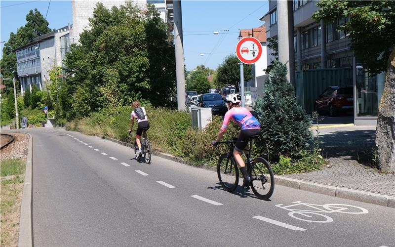 Weil das automatische Überholverbot auf der schmalen Straße von vielen Autofahrern ignoriert wurde, hat die Stadt Stuttgart an der Abfahrt von Vaihingen in Richtung Kaltental ein Verbotsschild aufgestellt. GB-Foto: Reichert