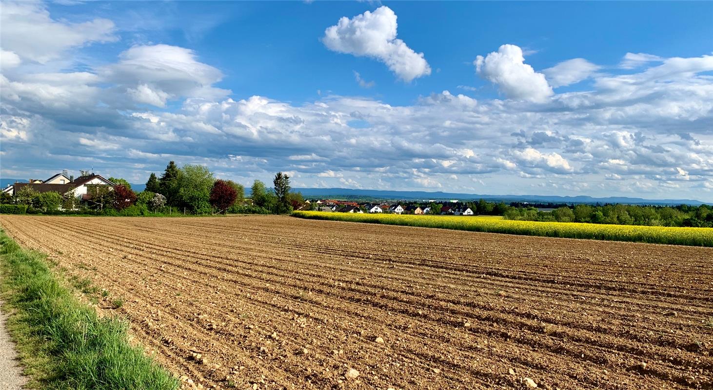 Weiter Blick auf Himmel und Erde, sagt Minja Rollinson zu ihrem Foto aus Öschelb...