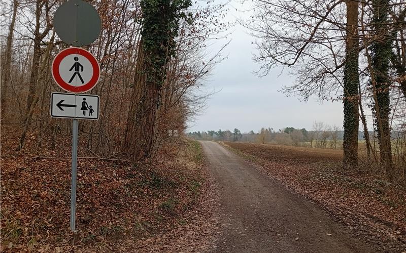 Welcher Weg in der Frage zu Windrädern im Spitalwald gewählt wird, klärt in zwei Wochen der Bürgerentscheid. GB-Foto (Archiv): gb