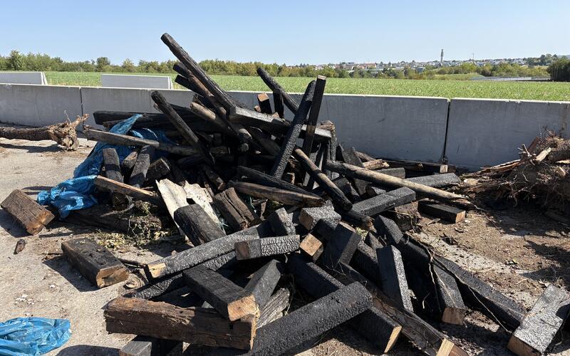 Welleternit und Eisenbahnschwellen wurden unter Reisig versteckt. GB-Foto: Polizei
