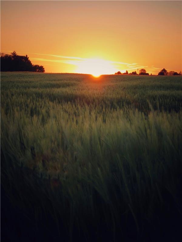 Wenn der Tag sich verneigt, malt die Sonne Poesie. Der Sonnenuntergang am Mutter...