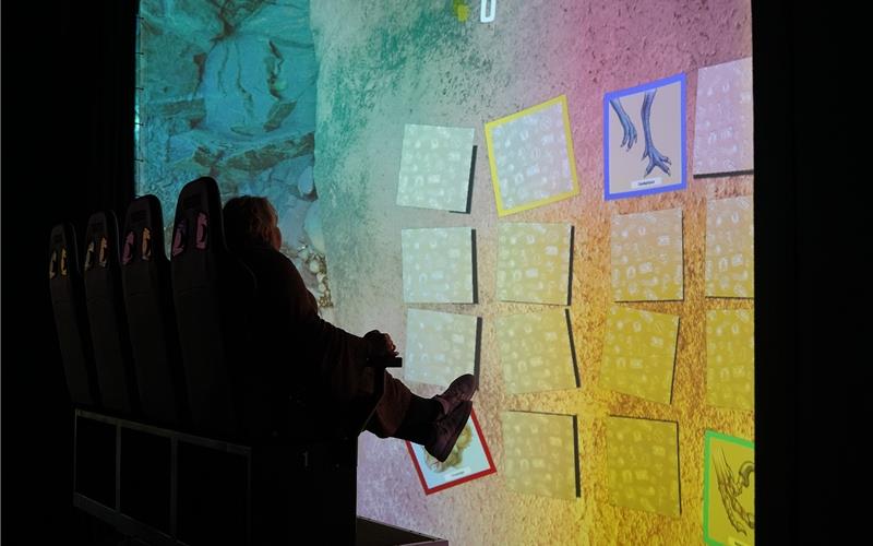 „Gäubote“-Familien-Tour: Klassiker erwacht mit „World of memory“ Wer kennt das nicht, das berühmte „memory“-Spiel: Hier wird es zum 4-D-Spektakel.GB-Foto: Ravensburger Spieleland