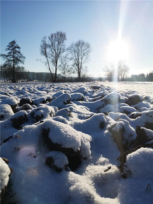 „Wie Kälte Schönheit formt!“  Von Ursula Schmid aus Rohrau.