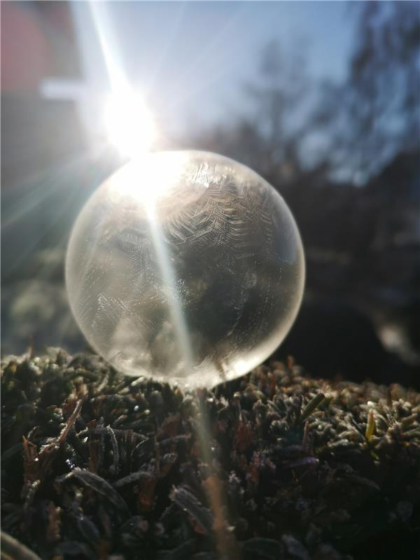 „Wie Kälte Schönheit formt!“  Von Ursula Schmid aus Rohrau.