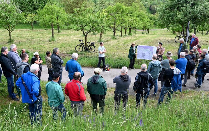 Wie lassen sich Streuobstwiesen erhalten? Ein Informationsspaziergang in Kayh versuchte, dazu zu vernetzen. GB-Foto: Holom