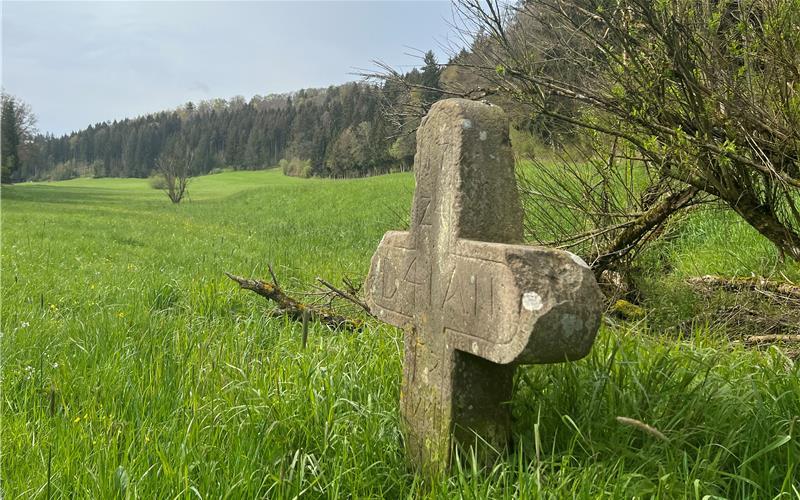 Wildberg und seine Stadtteile sind reich an Biotopen – die allerdings unterschiedlich kartiert wurden. GB-Foto: Priestersbach