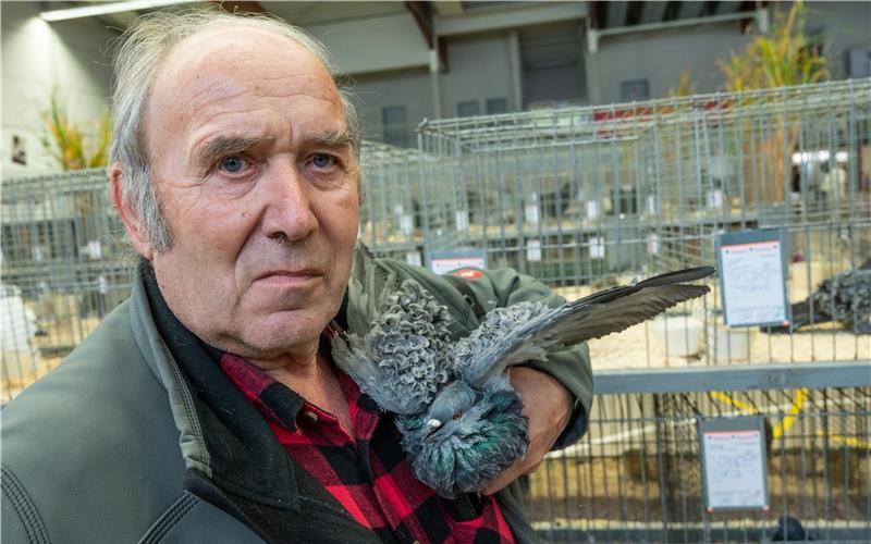 Wilfried Stegmüller zeigt bei der Lokalschau seine Lockentauben.GB-Foto: Schmidt