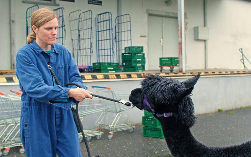 „Wilma will mehr“: Film über eine patente Frau, die nach dem Mauerfall an den Rand der Gesellschaft gedrängt wird.GB-Foto: Neue Visionen Filmverleih