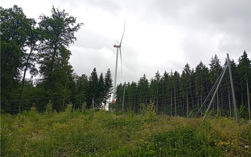 Windrad im Windpark „Junge Donau“ bei Immendingen. GB-Foto: gb