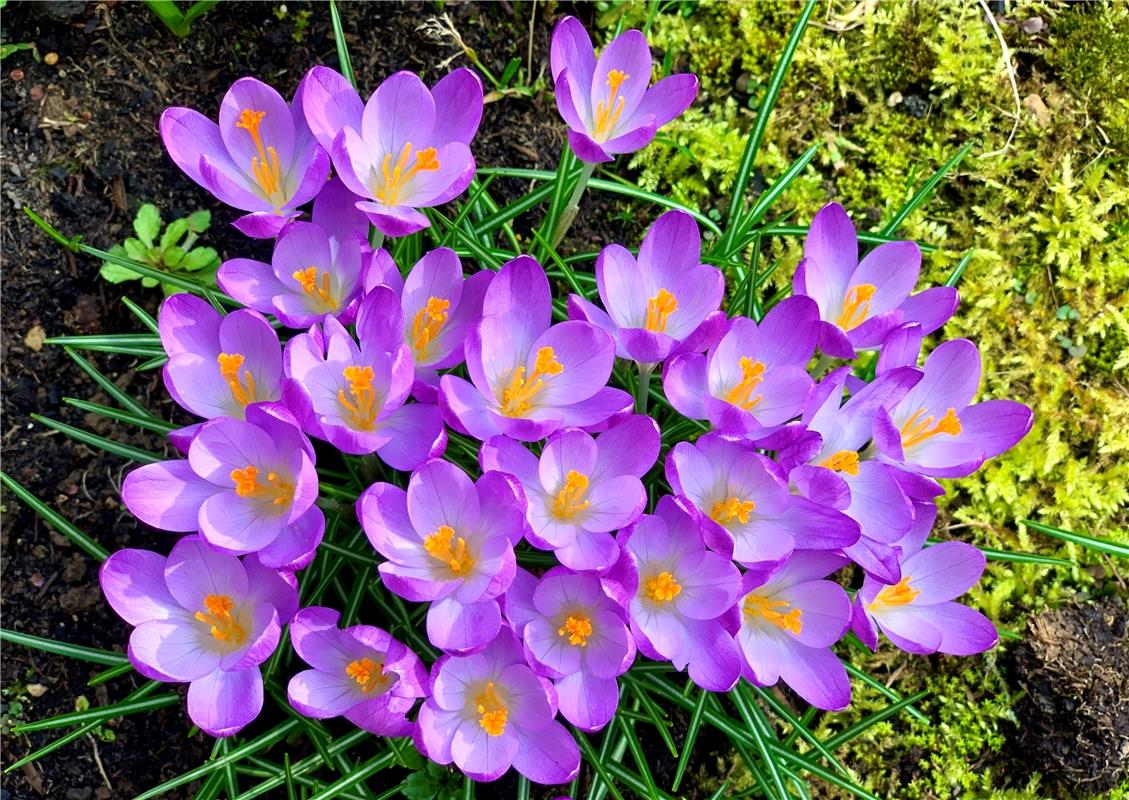 Winter ade, willkommen Frühling! Von Minja Rollinson aus Gäufelden.