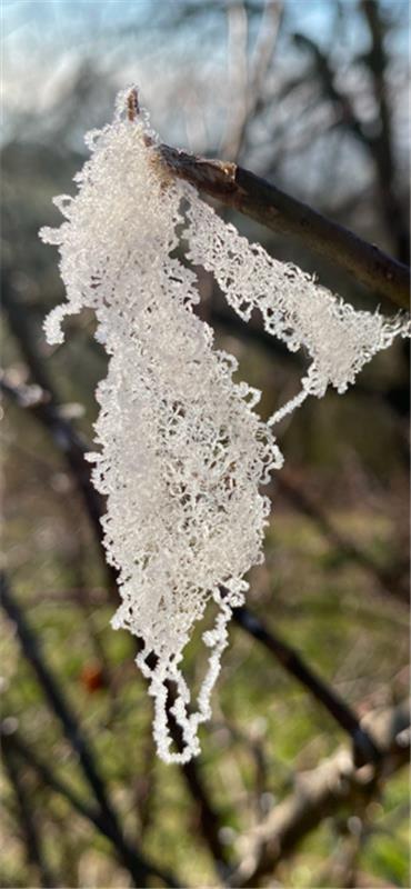 Winterbild – gemacht in den Mönchberger Streuobstwiesen.  Von Corinna Beck aus H...