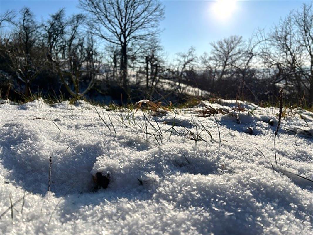 Winterbild – gemacht in den Mönchberger Streuobstwiesen.  Von Corinna Beck aus H...