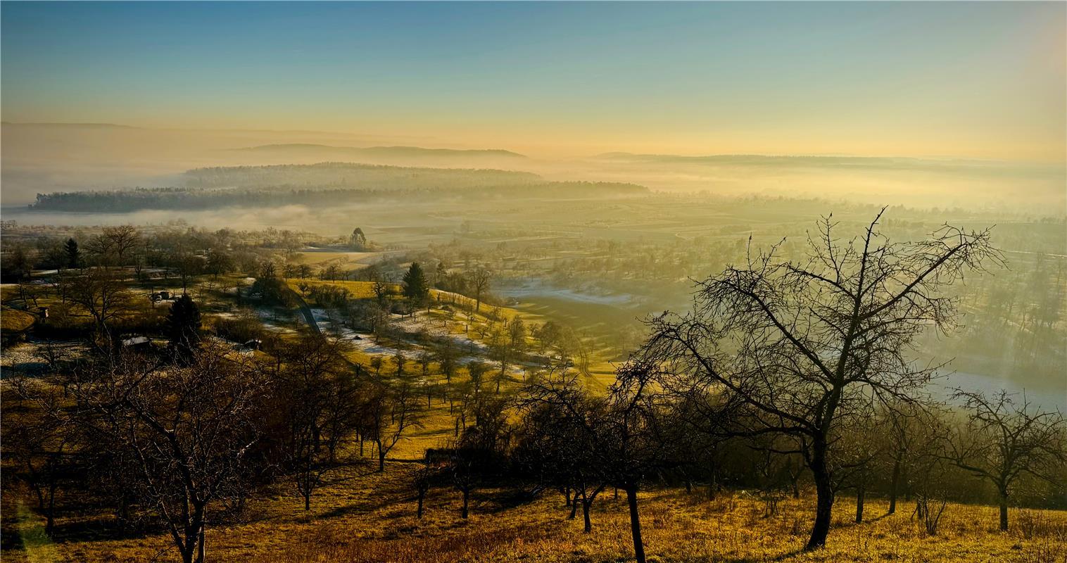 Winterbilder.  Von Simon Röhm aus Nufringen.