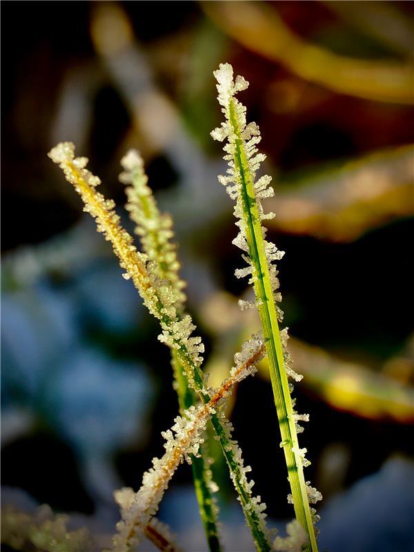 Winterbilder.  Von Simon Röhm aus Nufringen.