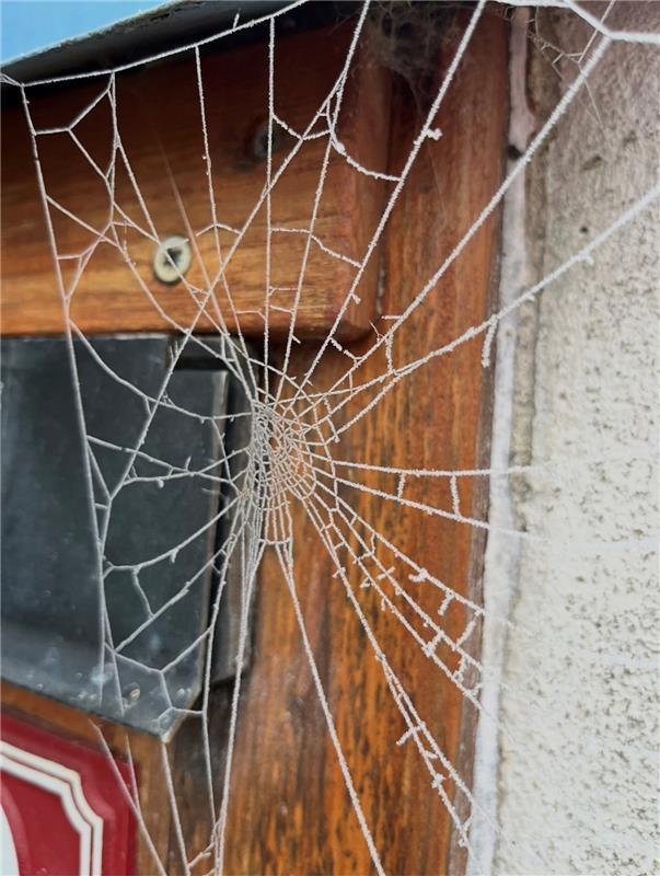 Winterfoto.  Von Beatrice Weber aus Kayh.