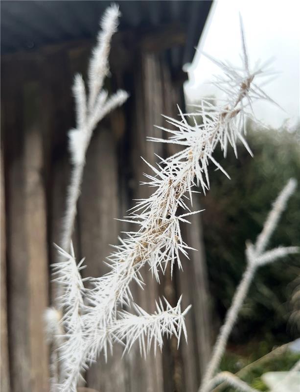 Winterfoto.  Von Beatrice Weber aus Kayh.