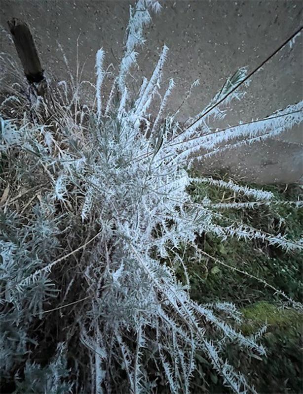 Winterfoto.  Von Beatrice Weber aus Kayh.