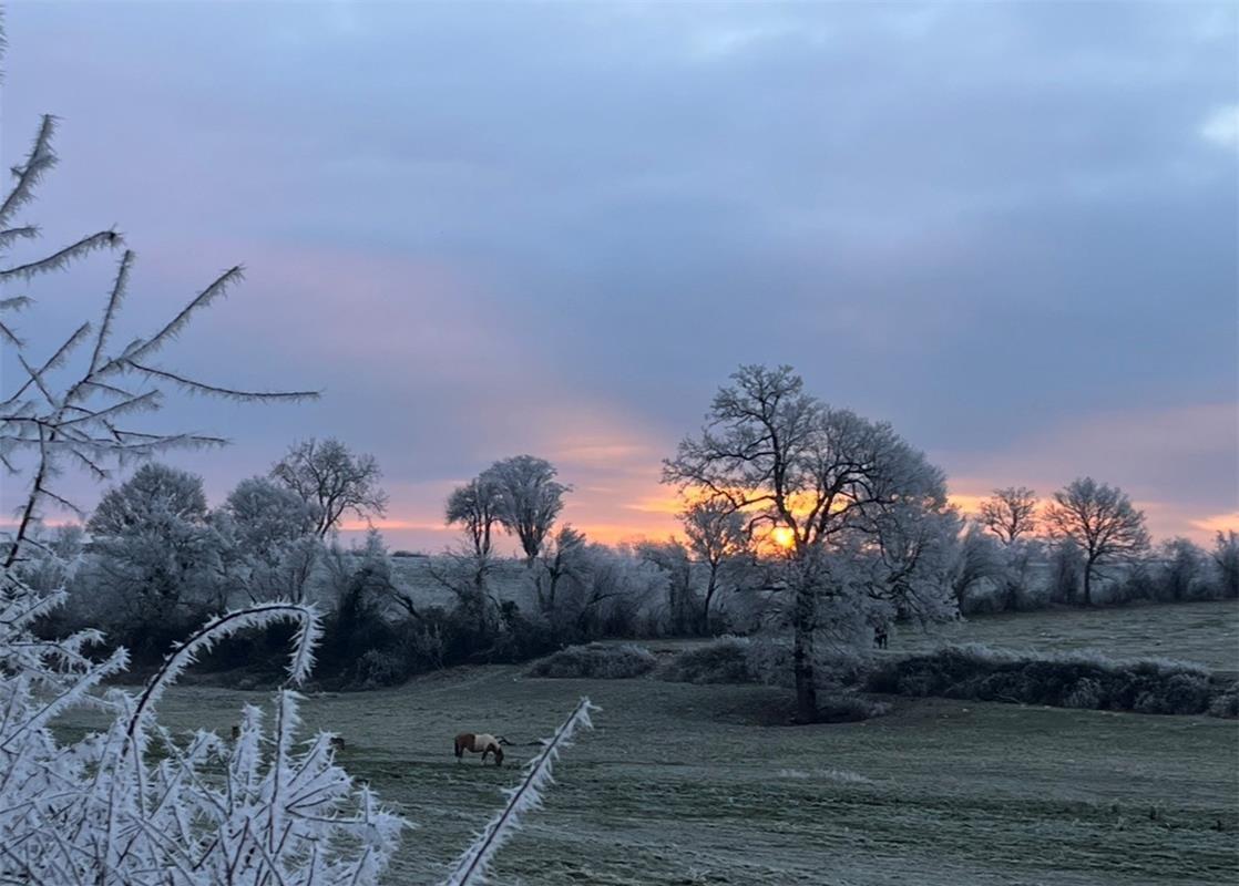 Winterfoto.  Von Beatrice Weber aus Kayh.