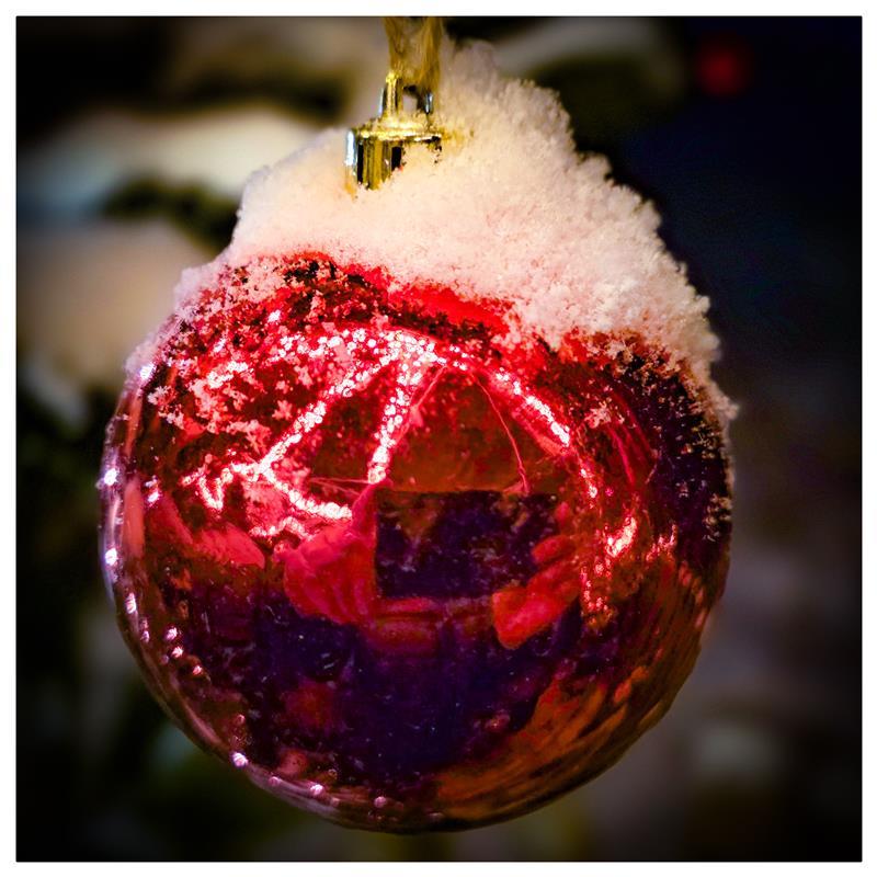 Winterfoto.  Von Gabi Brenner aus Herrenberg.