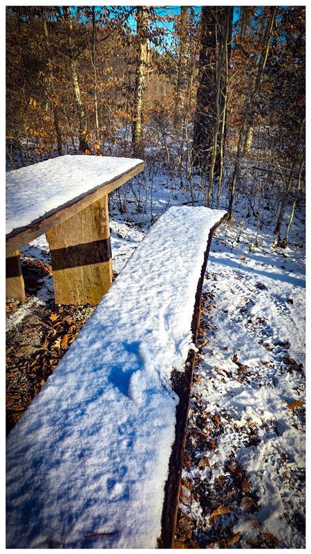 Winterfoto.  Von Gabi Brenner aus Herrenberg.