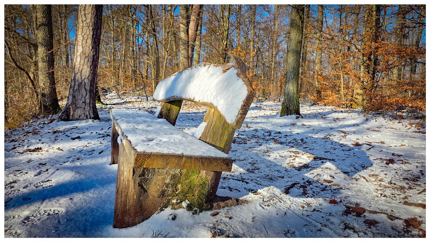 Winterfoto.  Von Gabi Brenner aus Herrenberg.