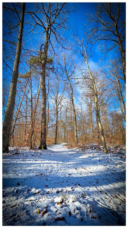 Winterfoto.  Von Gabi Brenner aus Herrenberg.