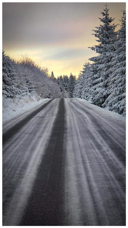 Winterfoto.  Von Gabi Brenner aus Herrenberg.