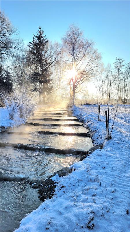 Winterfoto.  Von Susanne Marquardt aus Gültstein.