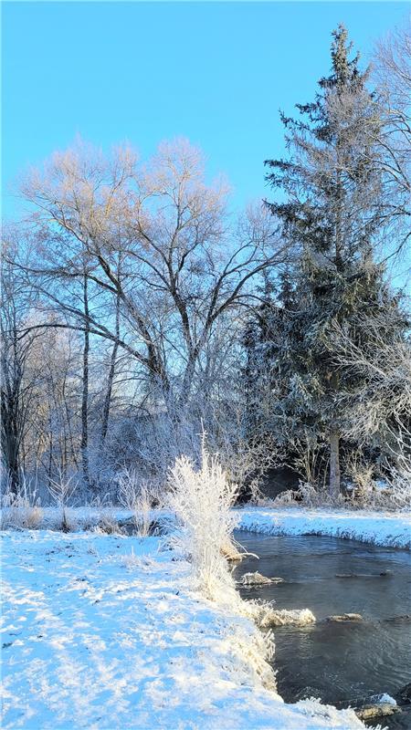 Winterfoto.  Von Susanne Marquardt aus Gültstein.