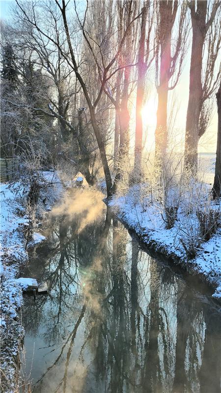 Winterfoto.  Von Susanne Marquardt aus Gültstein.