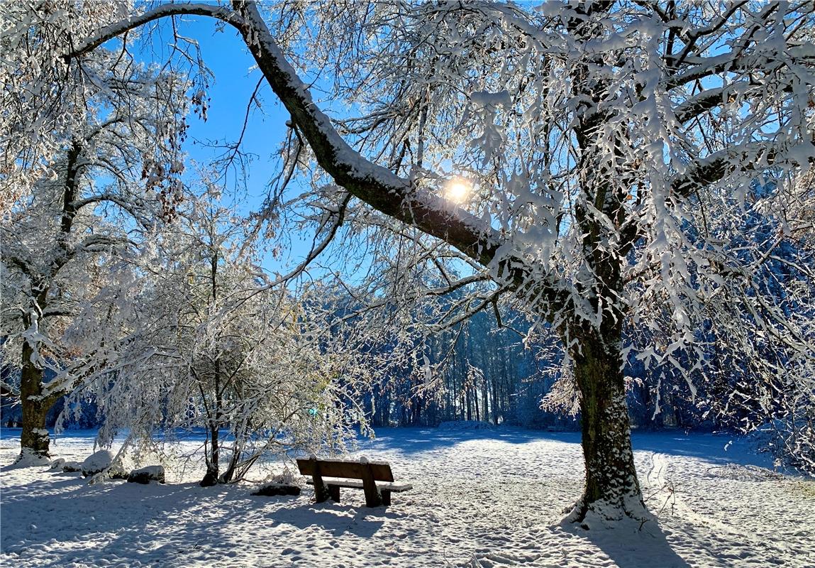 Winteridylle an diesem sonnigen Sonntag. Von Minja Rollinson aus Gäufelden.