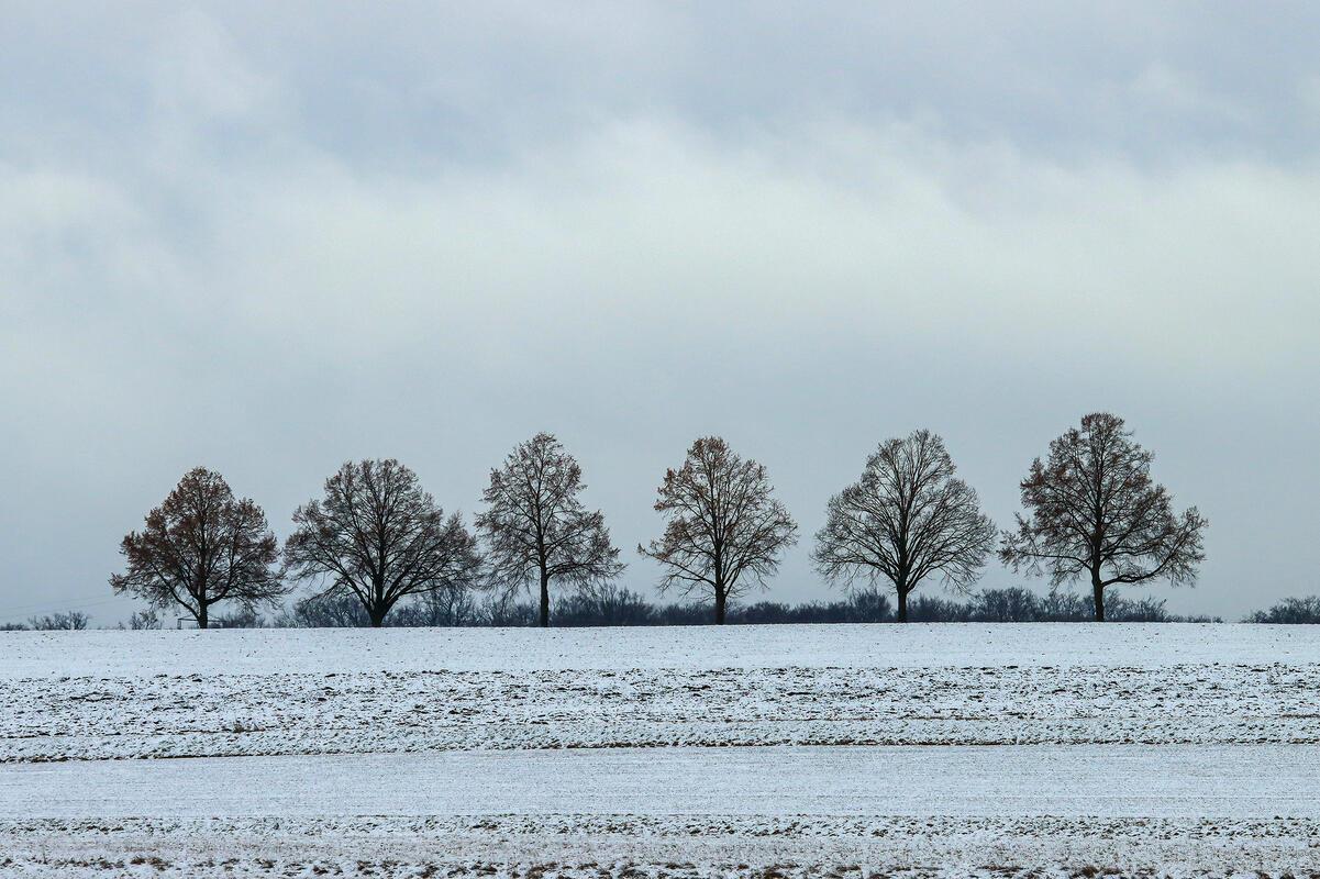 Winterlandschaft ...  Von Natalie Politz aus Hildrizhausen.