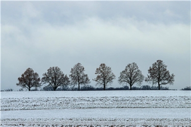 Winterlandschaft ... Von Natalie Politz aus Hildrizhausen.