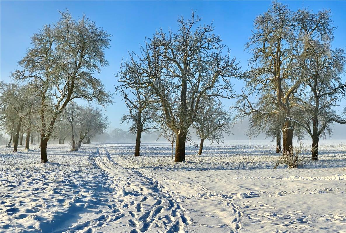 Winterlandschaft im Gäu... Von Minja Rollinson aus Gäufelden.