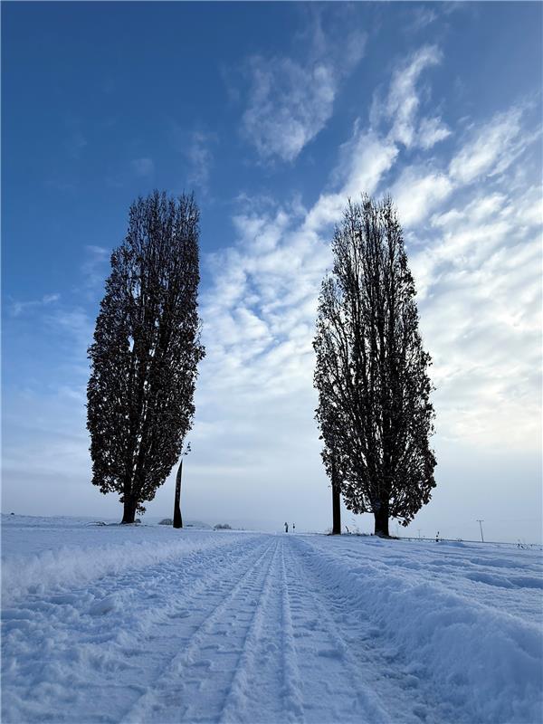 Wintermotive aus Herrenberg.  Von Samuel Trick aus Herrenberg.