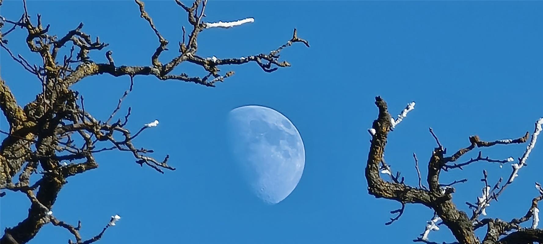 Winterspaziergang zwischen den Jahren mit Sonne und Mond.  Von Roland Marquardt ...