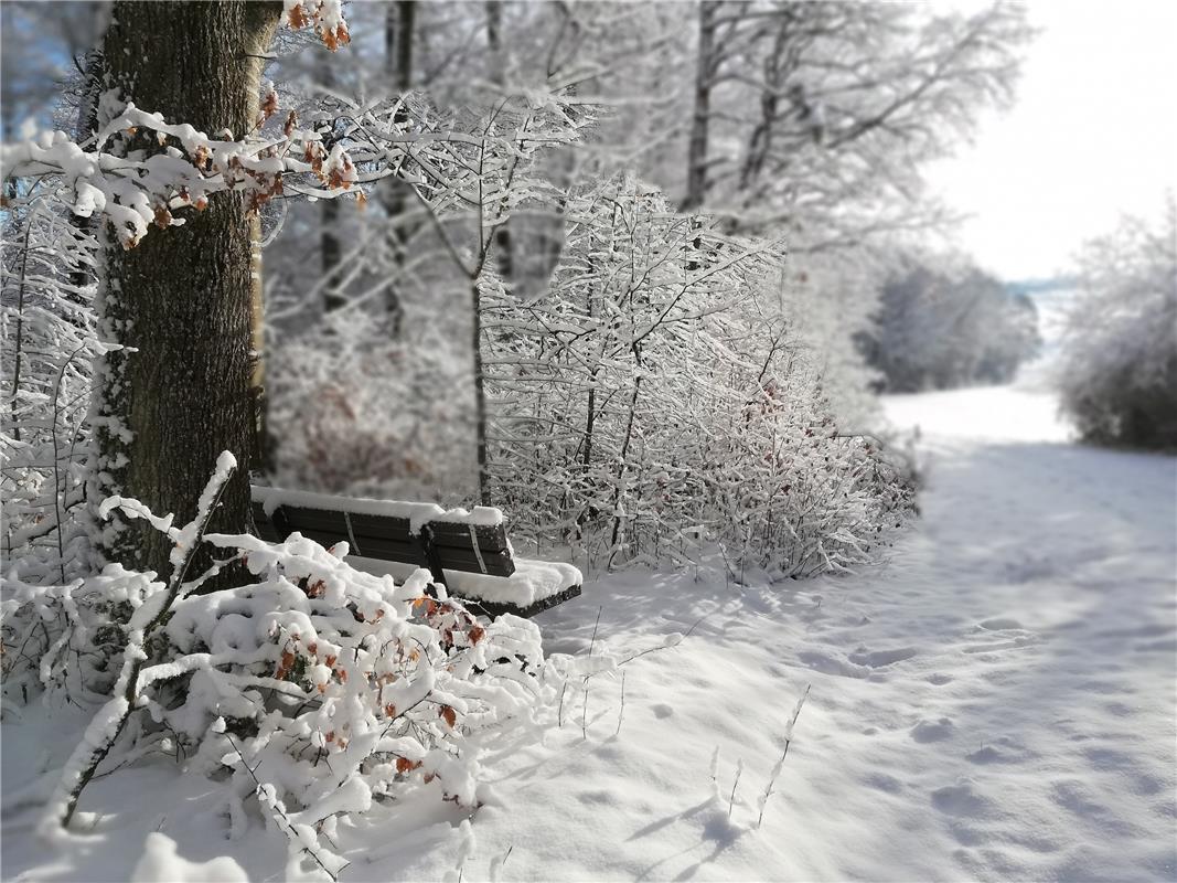 Winterstimmung in Deckenpfronn, aufgezeichnet von Birgit Limmer. 