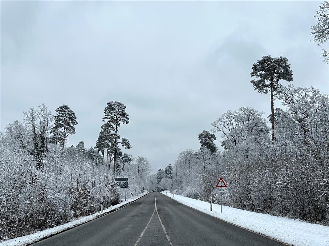 Winterwald.  Von Anja Schnotz aus Gäufelden.
