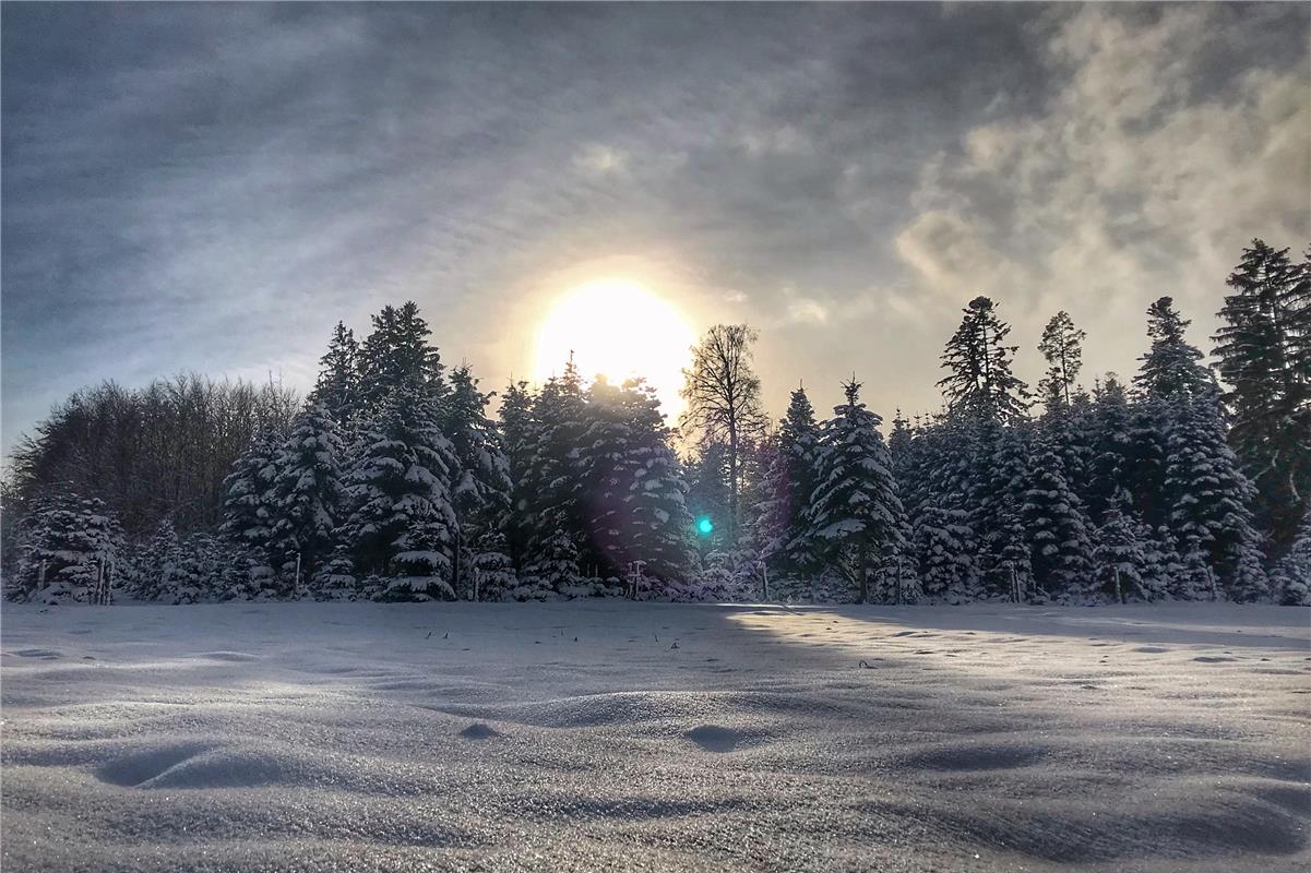 Winterwanderland bei den Höhenhöfen nahe Oberjettingen: Anja Schnotz aus Gäufeld...