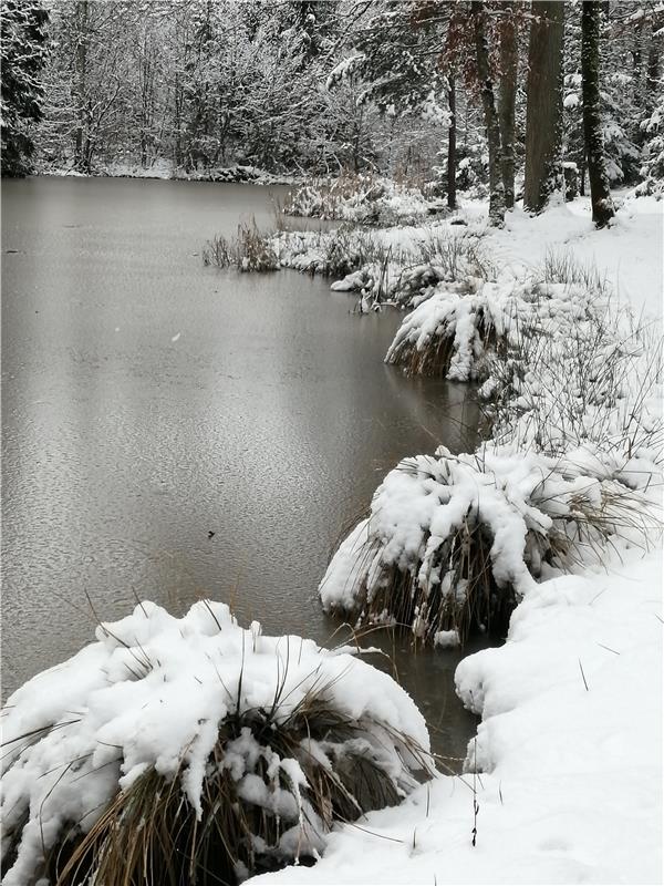 Winterwonderland...  Von Hannelore Brose aus Herrenberg.