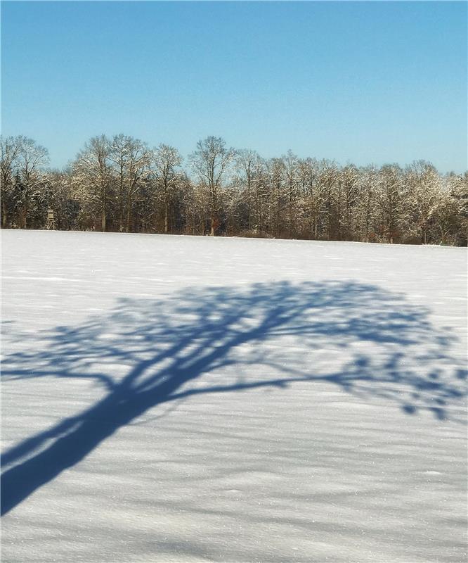 Wo Licht ist, ist auch Schatten, stellt Anja Schnotz aus Gäufelden beim Spazierg...