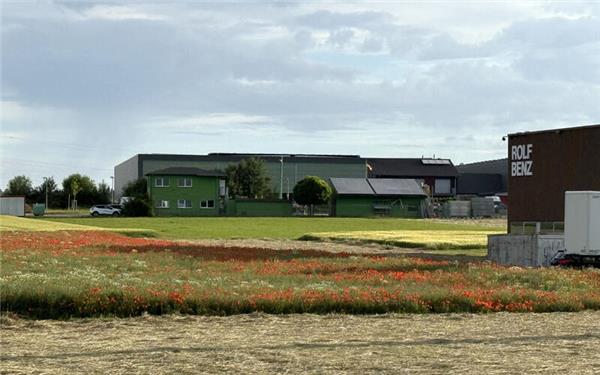 Wo derzeit noch der Mohn blüht, sollen in den nächsten Jahren Gewerbeflächen entstehen, die in Mötzingen stark nachgefragt werden. GB-Foto: Priestersbach