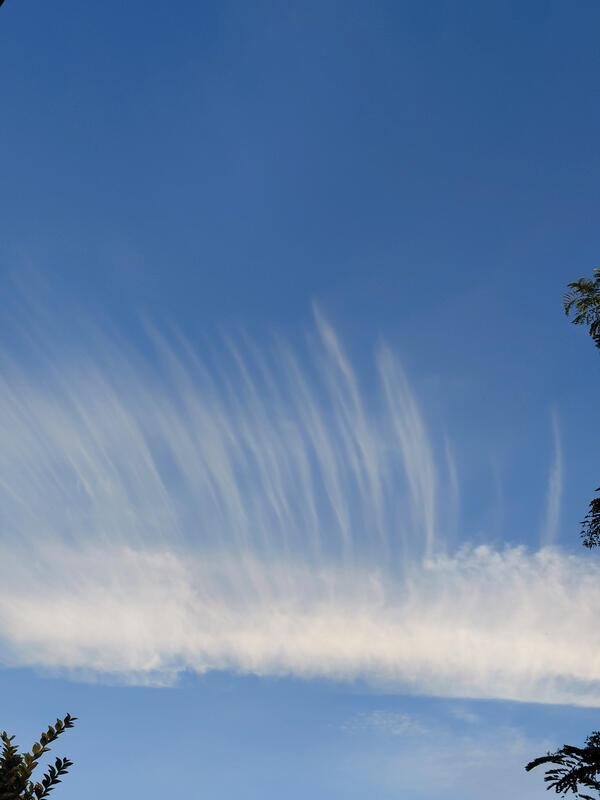 Wolke mit Starkstromfrisur.  Von Patricia Castillo aus Herrenberg.