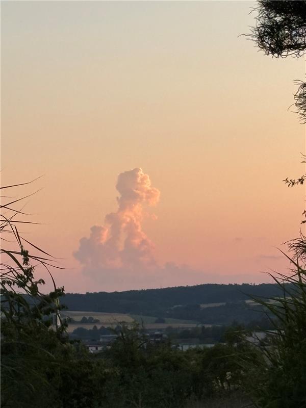 Wolkenformation kleines Hundle mit Halsband blickt in Richtung Herrenberg.  Von ...