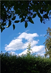 Wolkenspiel Von Birgit Walz aus Kuppingen.