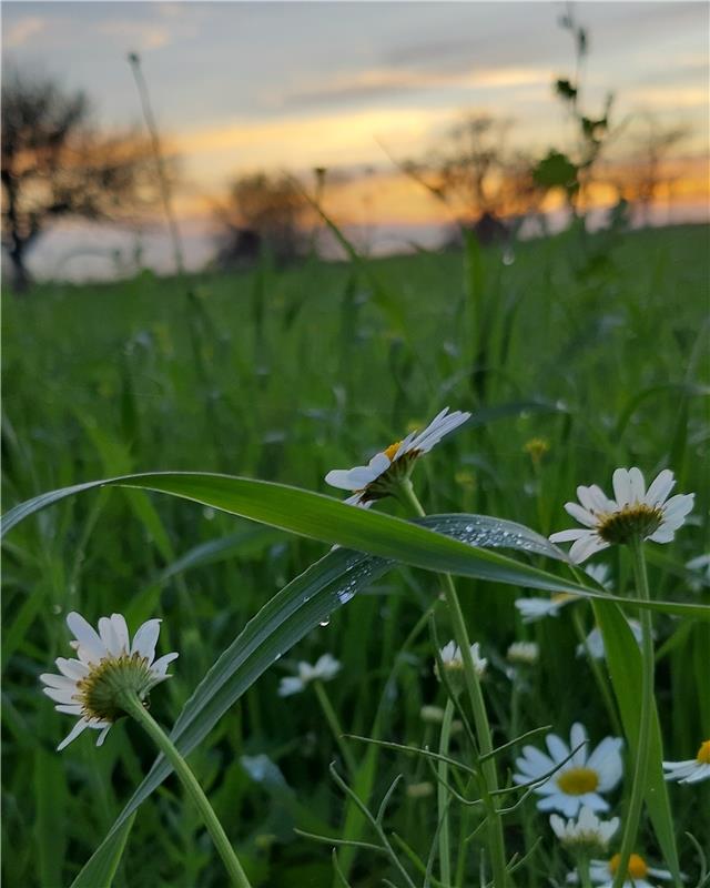 Wunderschöne Abendstimmung mit den letzten Sonnenstrahlen des Tages. Von "Novemb...