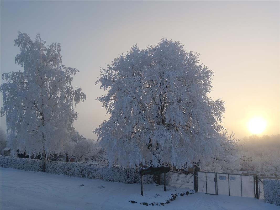 Wunderschöne Winterstimmung bei der Kleingartenanlage Zinsgraben in Nebringen. V...