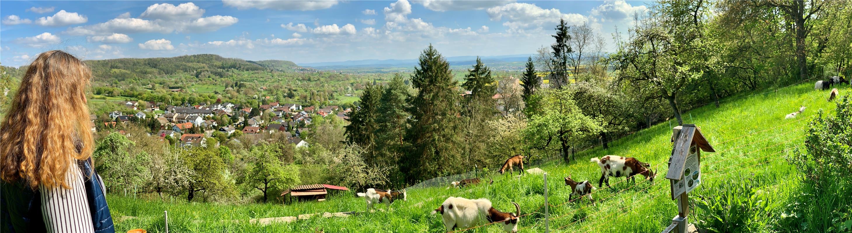 Wunderschöner Blick von der Ziegenweide, am Hang vom Schönbuch, mit Ehbühl im Ta...