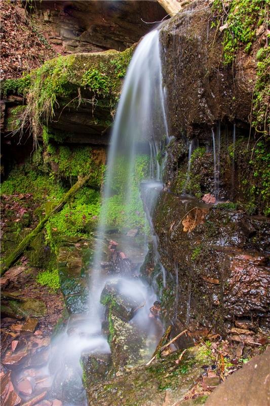 Wunderschöner idyllischer Ort am Fledermausweg im Seitzental", sagt due Herreneb...